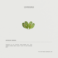 Anthurium Earrings